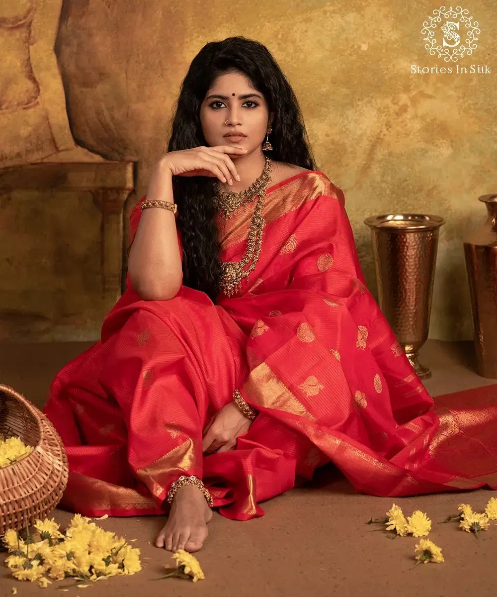 malayalam actress megha akash in red saree blouse